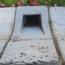 Installed Curb Drain