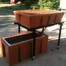 Aquaponics