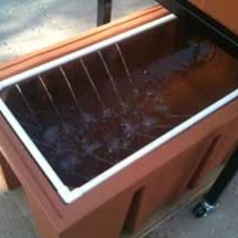 Aquaponics Fishtank