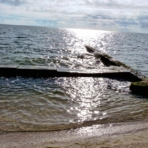 Sandsavers in Gulf of Mexico