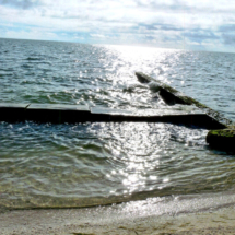 Sandsaver Beach Erosion Solution