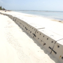 Sandsaver Naturally Rebuilding Beach