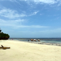 Sandsaver Beach Erosion Solution Stopping Beach Erosion